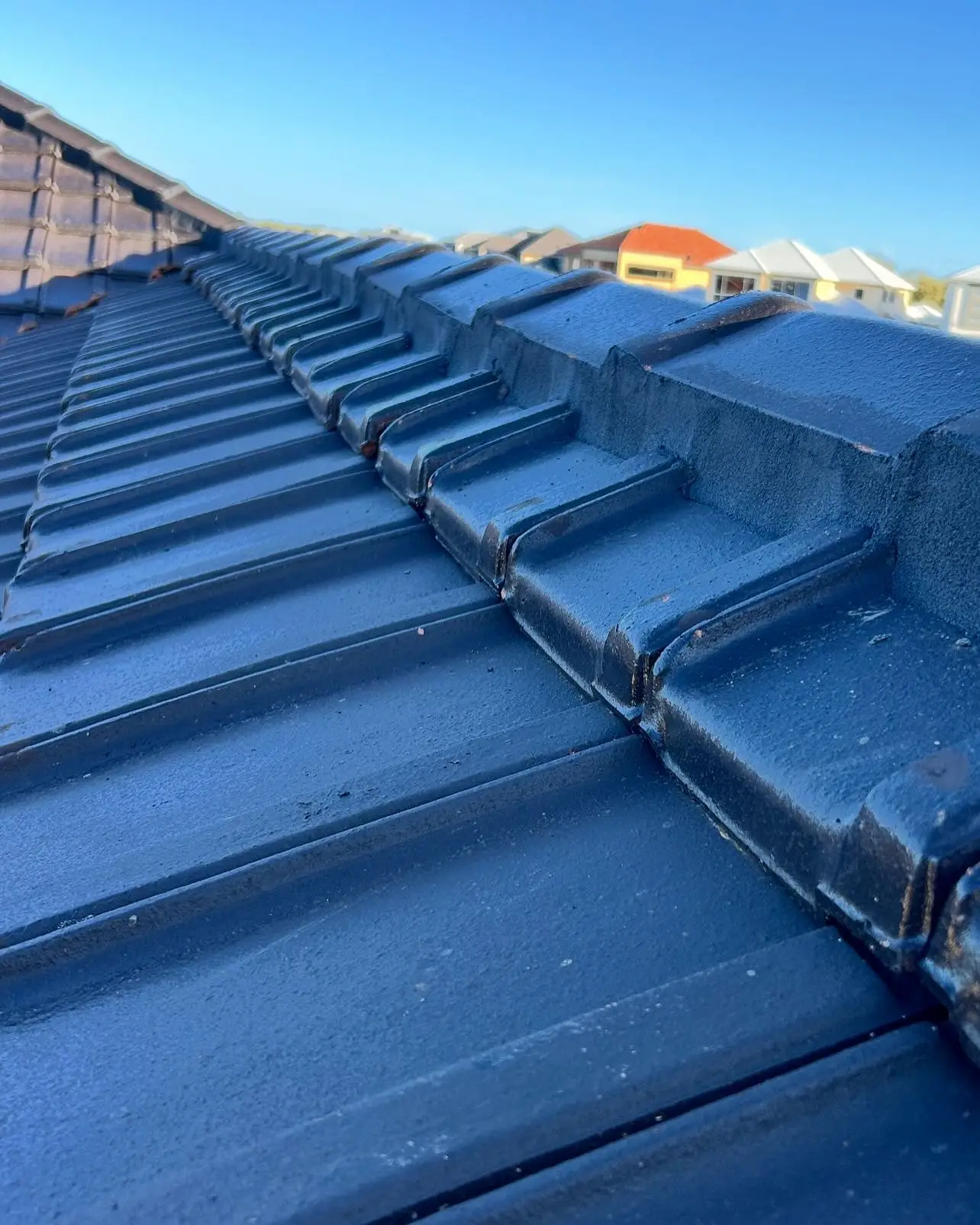Clean pointed ridge caps running along a blue tiled roof