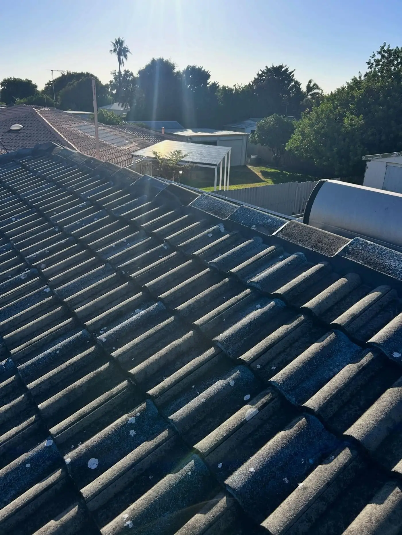 Charcoal tiled roof in low afternoon sun with palm trees