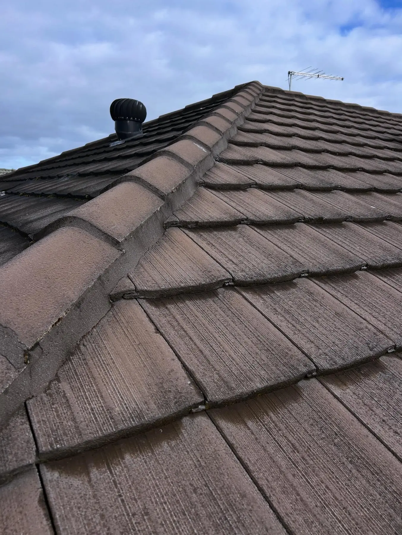 Finished pointing along brown tiled ridge capping